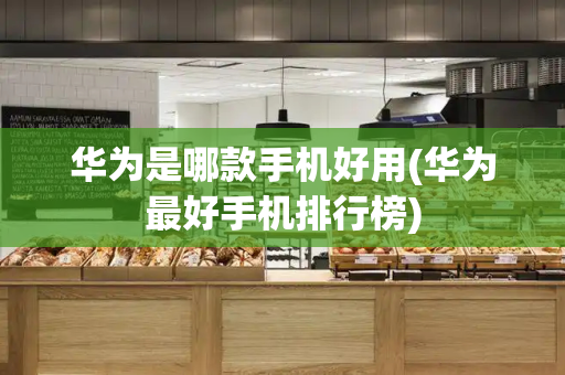 华为是哪款手机好用(华为最好手机排行榜)-第1张图片-星选测评