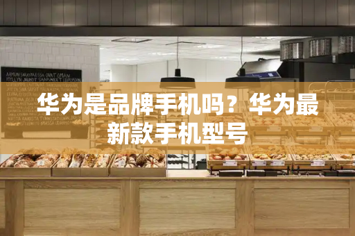 华为是品牌手机吗？华为最新款手机型号-第1张图片-星选测评