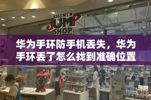 华为手环防手机丢失，华为手环丢了怎么找到准确位置-第1张图片-星选测评