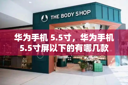 华为手机 5.5寸，华为手机5.5寸屏以下的有哪几款-第1张图片-星选测评