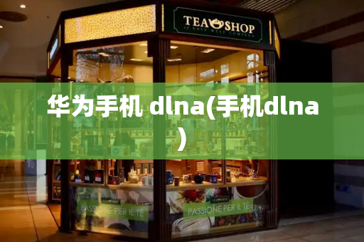 华为手机 dlna(手机dlna)