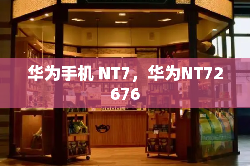 华为手机 NT7，华为NT72676-第1张图片-星选测评