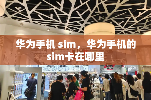 华为手机 sim，华为手机的sim卡在哪里-第1张图片-星选测评