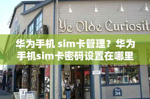 华为手机 sim卡管理？华为手机sim卡密码设置在哪里-第1张图片-星选测评