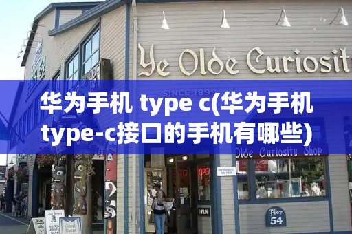 华为手机 type c(华为手机type-c接口的手机有哪些)-第1张图片-星选测评