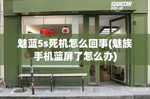 魅蓝5s死机怎么回事(魅族手机蓝屏了怎么办)