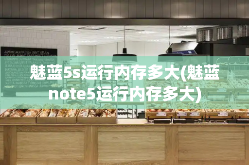 魅蓝5s运行内存多大(魅蓝note5运行内存多大)