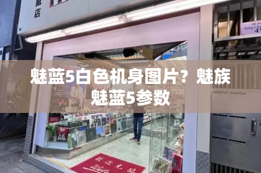 魅蓝5白色机身图片？魅族魅蓝5参数