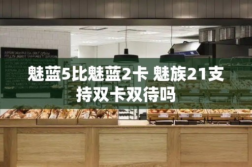 魅蓝5比魅蓝2卡 魅族21支持双卡双待吗