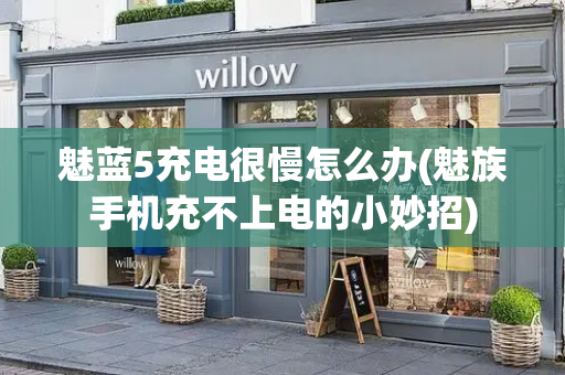 魅蓝5充电很慢怎么办(魅族手机充不上电的小妙招)