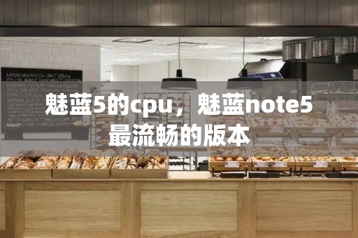 魅蓝5的cpu，魅蓝note5最流畅的版本-第1张图片-星选测评