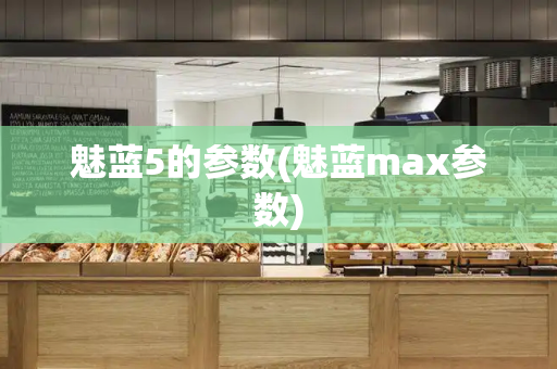 魅蓝5的参数(魅蓝max参数)