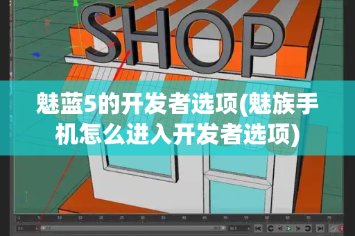 魅蓝5的开发者选项(魅族手机怎么进入开发者选项)