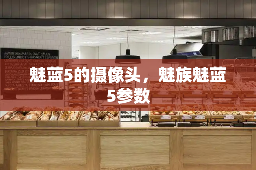 魅蓝5的摄像头，魅族魅蓝5参数-第1张图片-星选测评