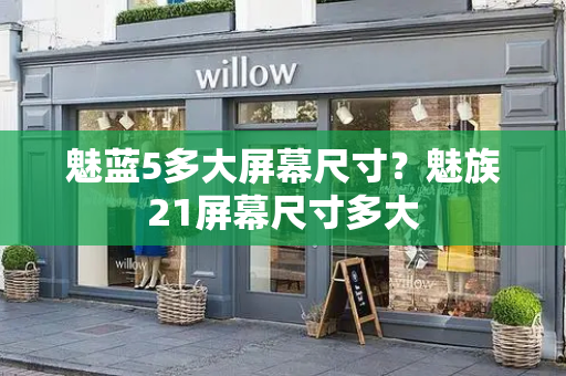 魅蓝5多大屏幕尺寸？魅族21屏幕尺寸多大