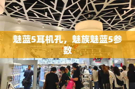 魅蓝5耳机孔，魅族魅蓝5参数-第1张图片-星选测评