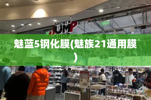 魅蓝5钢化膜(魅族21通用膜)-第1张图片-星选测评
