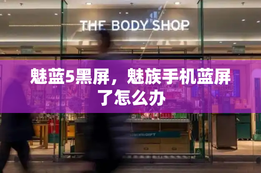 魅蓝5黑屏，魅族手机蓝屏了怎么办