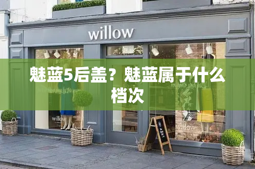 魅蓝5后盖？魅蓝属于什么档次