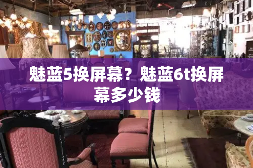 魅蓝5换屏幕？魅蓝6t换屏幕多少钱-第1张图片-星选测评