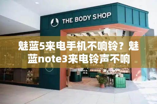 魅蓝5来电手机不响铃？魅蓝note3来电铃声不响