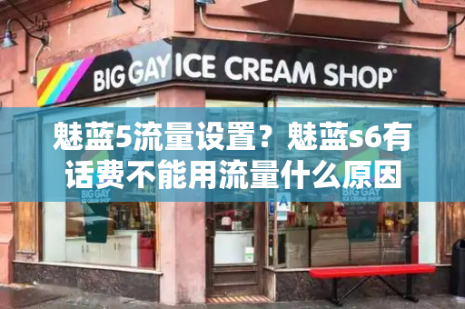 魅蓝5流量设置？魅蓝s6有话费不能用流量什么原因