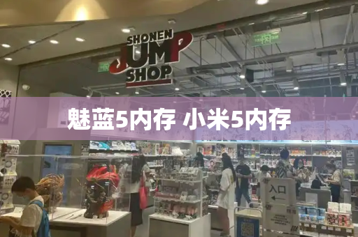 魅蓝5内存 小米5内存-第1张图片-星选测评
