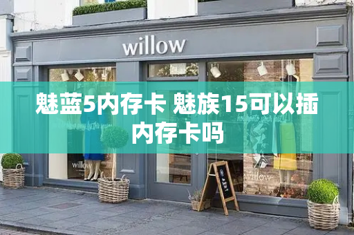魅蓝5内存卡 魅族15可以插内存卡吗-第1张图片-星选测评