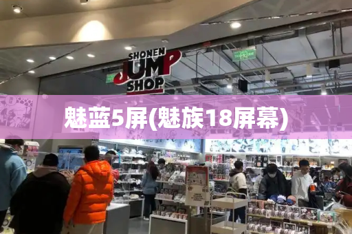 魅蓝5屏(魅族18屏幕)
