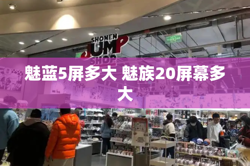 魅蓝5屏多大 魅族20屏幕多大