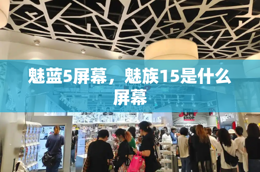魅蓝5屏幕，魅族15是什么屏幕-第1张图片-星选测评