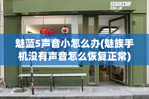 魅蓝5声音小怎么办(魅族手机没有声音怎么恢复正常)