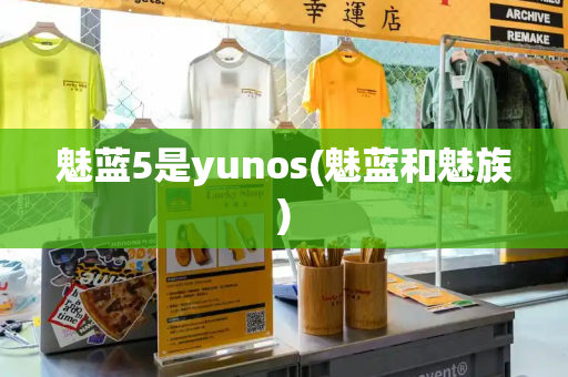 魅蓝5是yunos(魅蓝和魅族)-第1张图片-星选测评