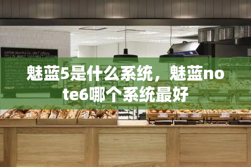 魅蓝5是什么系统，魅蓝note6哪个系统最好-第1张图片-星选测评