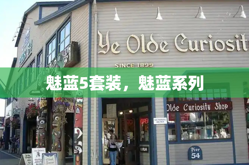 魅蓝5套装，魅蓝系列