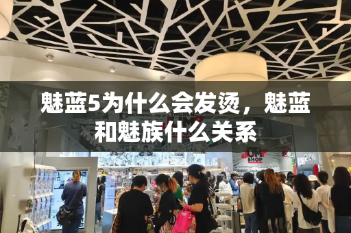 魅蓝5为什么会发烫，魅蓝和魅族什么关系