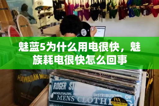 魅蓝5为什么用电很快，魅族耗电很快怎么回事-第1张图片-星选测评