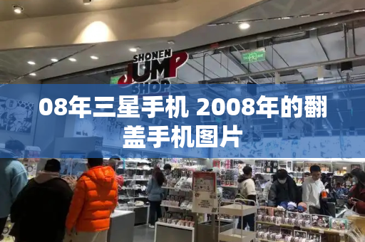 08年三星手机 2008年的翻盖手机图片
