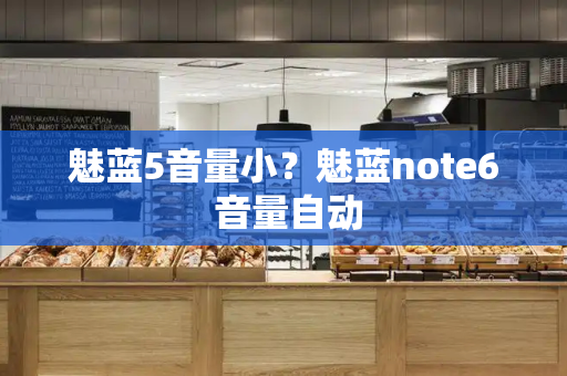魅蓝5音量小？魅蓝note6 音量自动-第1张图片-星选测评