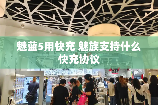 魅蓝5用快充 魅族支持什么快充协议