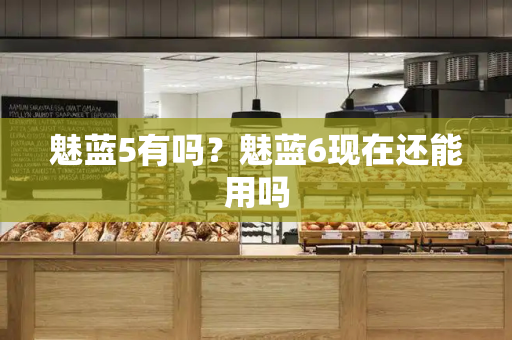 魅蓝5有吗？魅蓝6现在还能用吗