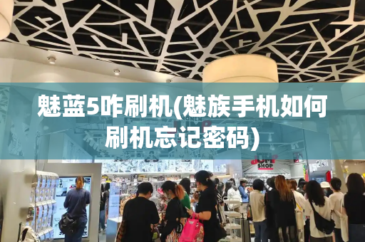 魅蓝5咋刷机(魅族手机如何刷机忘记密码)-第1张图片-星选测评