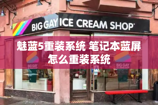 魅蓝5重装系统 笔记本蓝屏怎么重装系统-第1张图片-星选测评