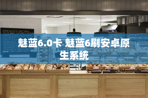 魅蓝6.0卡 魅蓝6刷安卓原生系统