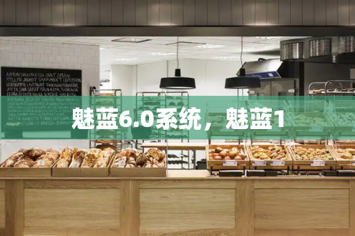 魅蓝6.0系统，魅蓝1-第1张图片-星选测评