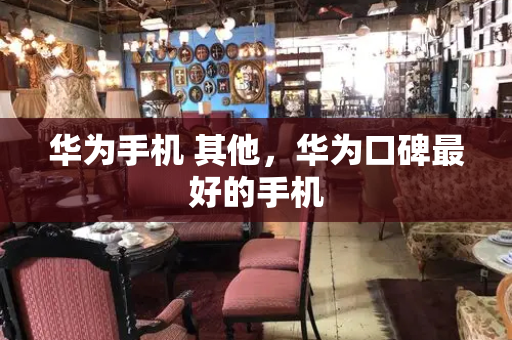 华为手机 其他，华为口碑最好的手机
