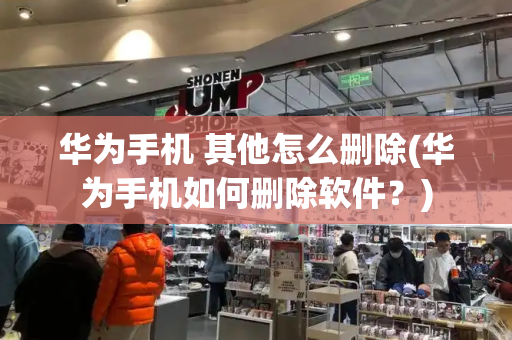 华为手机 其他怎么删除(华为手机如何删除软件？)-第1张图片-星选测评