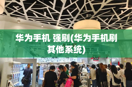 华为手机 强刷(华为手机刷其他系统)