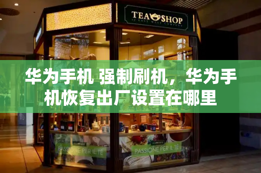 华为手机 强制刷机，华为手机恢复出厂设置在哪里-第1张图片-星选测评