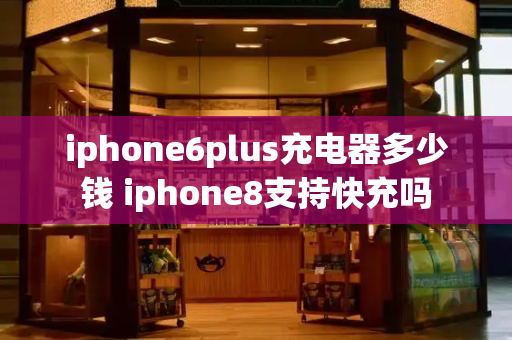 iphone6plus充电器多少钱 iphone8支持快充吗